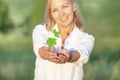 Female hands holding a small maple tree Royalty Free Stock Photo