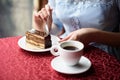 Female hands holding a teaspoon and cutting off a piece of chocolate cake Royalty Free Stock Photo