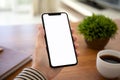 Female hands holding touch phone with isolated screen above the table in the office