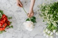 Female hands holding white flower above marble table