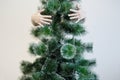 Female hands hugging a fir tree on a white background Royalty Free Stock Photo