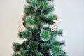 Female hands hugging a fir tree on a white background Royalty Free Stock Photo