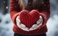 Female hands in knitted mittens with snowy heart. Creative concept with copy space for text