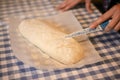 Female hands making yeast pizza dough, kneading dough for homemade bread, Royalty Free Stock Photo