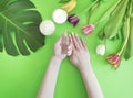 Female hands manicure, spring cosmetic creative cream moisturizing , monstera tulip leaf on a colored background Royalty Free Stock Photo