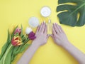 Female hands manicure, cosmetic creative cream moisturizing , monstera tulip leaf on a colored background Royalty Free Stock Photo