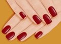 Female hands with manicure. Red nail polish. Vector illustration. Royalty Free Stock Photo