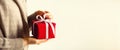 Female hands opening red gift box, copy space. Christmas, new year, birthday party, valentine`s day, mother`s and woman Royalty Free Stock Photo