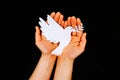 Female hands with paper dove on black background. Pace in Ukraine, symbol for end of the Conflict in Europe between Russia and Royalty Free Stock Photo