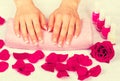 Female hands with perfect french manicure Royalty Free Stock Photo