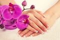 Female hands with perfect french manicure Royalty Free Stock Photo