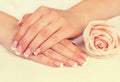 Female hands with perfect french manicure Royalty Free Stock Photo