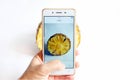 Female hands photographing Pineapple background texture