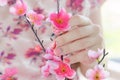 Female hands with pink nail design Royalty Free Stock Photo