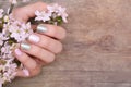 Female hands with pink and silver nail design Royalty Free Stock Photo