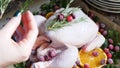 Female Hands placing Rosemary on Whole Raw Chicken with Fresh parsley Cranberries and Orange Slices on baking tray tin Royalty Free Stock Photo
