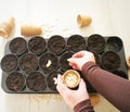 Female hands planting seeds in a pots. Top view Royalty Free Stock Photo