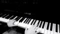 Female hands playing piano, concert of classical music, black and white closeup Royalty Free Stock Photo
