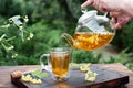 Female hands pouring linden tea from a glass teapot into a cup in the garden, healthy herbal tea Royalty Free Stock Photo