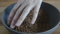 Female hands pours buckwheat grain