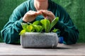 Female hands protecting plants growing in used plastic bottles with plastic bottles water DIY for planting vegetable plant on Royalty Free Stock Photo