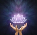 Sending Out Lotus Healing Energy