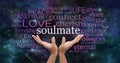 Searching for My Soulmate Word Cloud