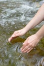 Female hands scooping water Royalty Free Stock Photo