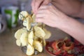 Female hands set apple slices on fancy creative steel fruit dryer. Nearby is a plate with red apple peels.