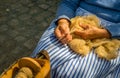 Female hands spin raw sheep wool on a spinning wheel Royalty Free Stock Photo