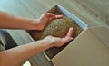 Female hands take grass seeds from a cardboard shipping box. Preparing for sowing a lawn