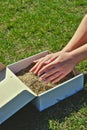 Female hands take lawn grass seeds from a cardboard shipping box against a background of green grass. Preparing for sowing a lawn Royalty Free Stock Photo