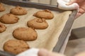 Female hands take out a baking tray with cookies from the oven. Close-up Royalty Free Stock Photo