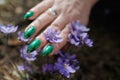 Female hands touch the first spring blue flowers Royalty Free Stock Photo