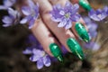 Female hands touch the first spring blue flowers Royalty Free Stock Photo