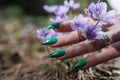 Female hands touch the first spring blue flowers Royalty Free Stock Photo