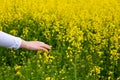 Female hands touching flowers.