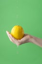 Female hands washing lemon on the green saturated background. Concept of the importance of washing fruits