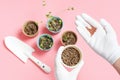 Female hands in white gloves holds seeds against the background of seedlings and soil in pot. Royalty Free Stock Photo