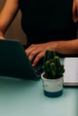 Female hands working in the computer with a red pen, a notebook and a cactus.Selective focus Royalty Free Stock Photo