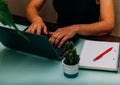 Female hands working in the computer with a red pen, a notebook and a cactus.Selective focus Royalty Free Stock Photo