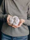 Female hands with yarn skein for knitting Royalty Free Stock Photo