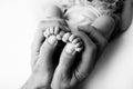 Female hands of young mother holding her newborn baby feet, closeup image with blur baby in background Royalty Free Stock Photo