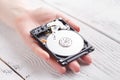 Female with a hard disk HDD in the hands Royalty Free Stock Photo