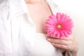 Female health and body care concept, pink gerbera in hands Royalty Free Stock Photo