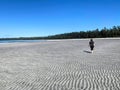 A female hiker exploring the sandy beaches of nels bight and experimental bight, surrounded by forest and the pacific ocean
