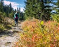 Female Hiker Royalty Free Stock Photo