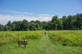 Female Hiker Through Open Field