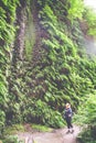 Female hiker stops to admire the jungle scenery in Fern Canyon - Redwood National Park in California. Artistic filter applied