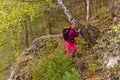 Female hiker trekking in the autumn forest Royalty Free Stock Photo